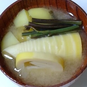 毎日のお味噌汁295杯目＊筍・淡竹、ワラビ